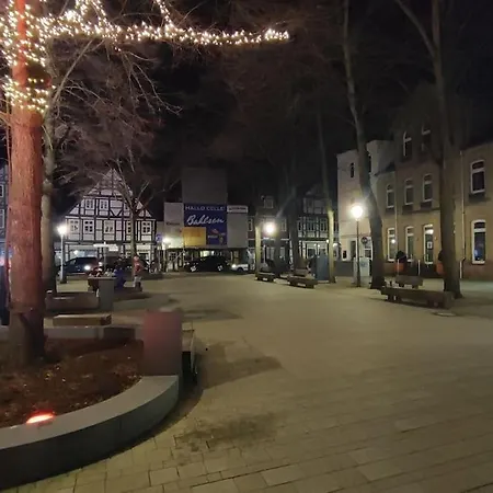 Schlossblick Celle